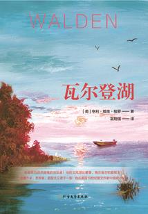 八班编年史